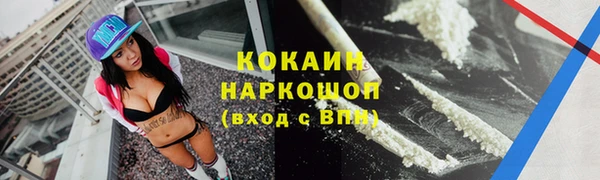 mdpv Богородицк