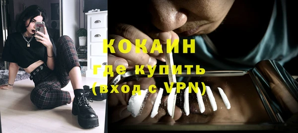 mdpv Богородицк