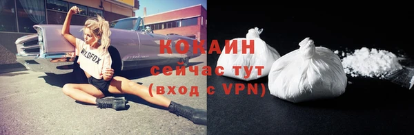 твердый Богородск
