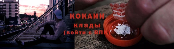 твердый Богородск