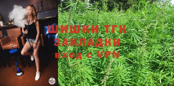 твердый Богородск