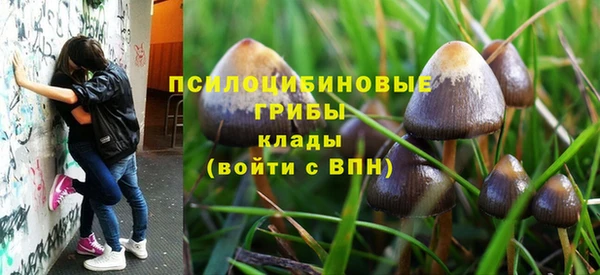 mdpv Богородицк