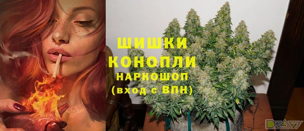 мяу мяу мука Богданович