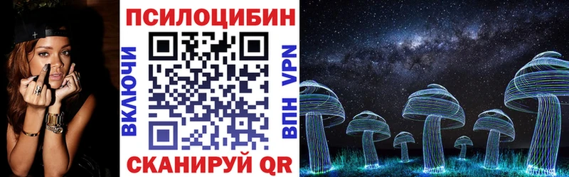Псилоцибиновые грибы Psilocybe  цены наркотик  блэк спрут зеркало  Будённовск 